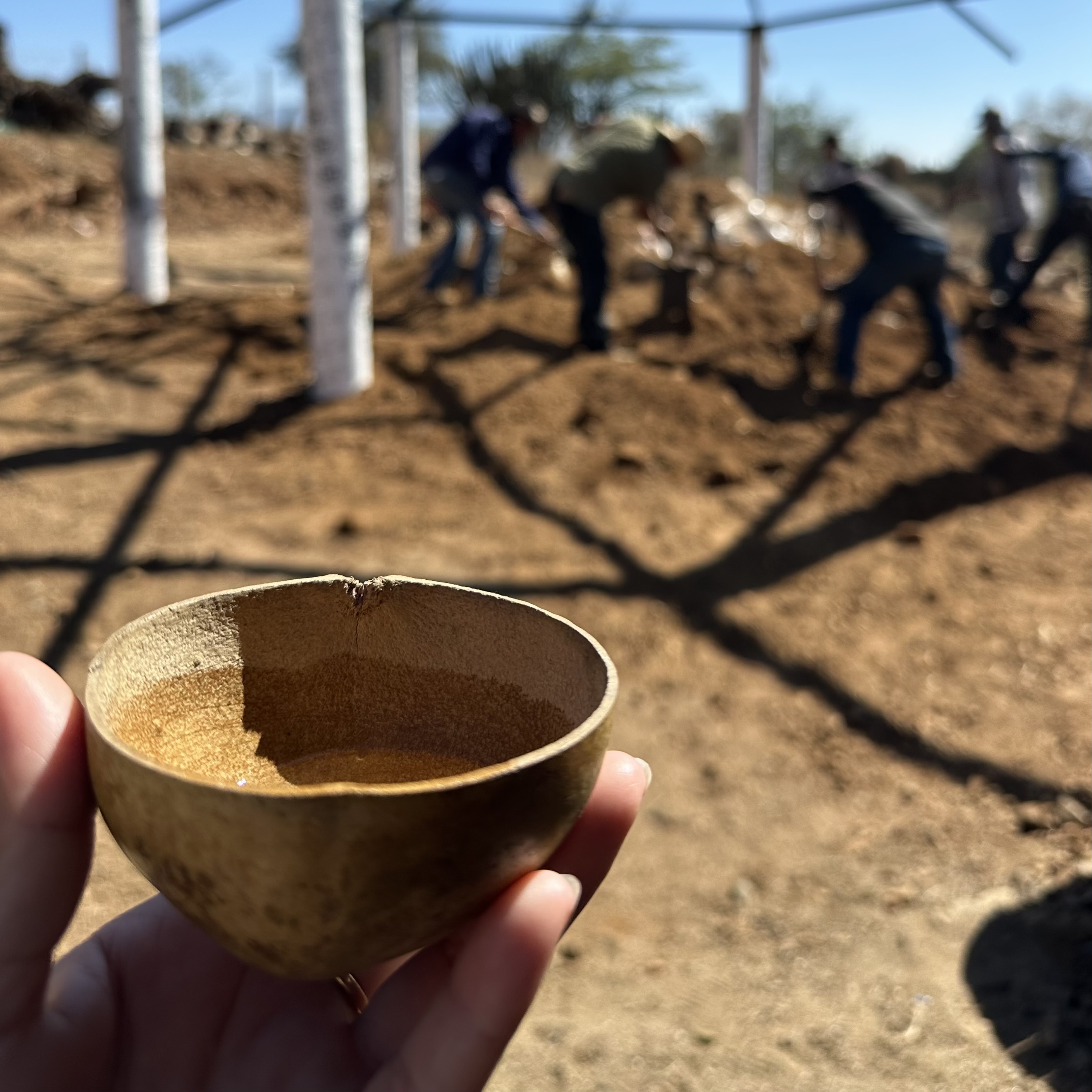distilled agave in a copita