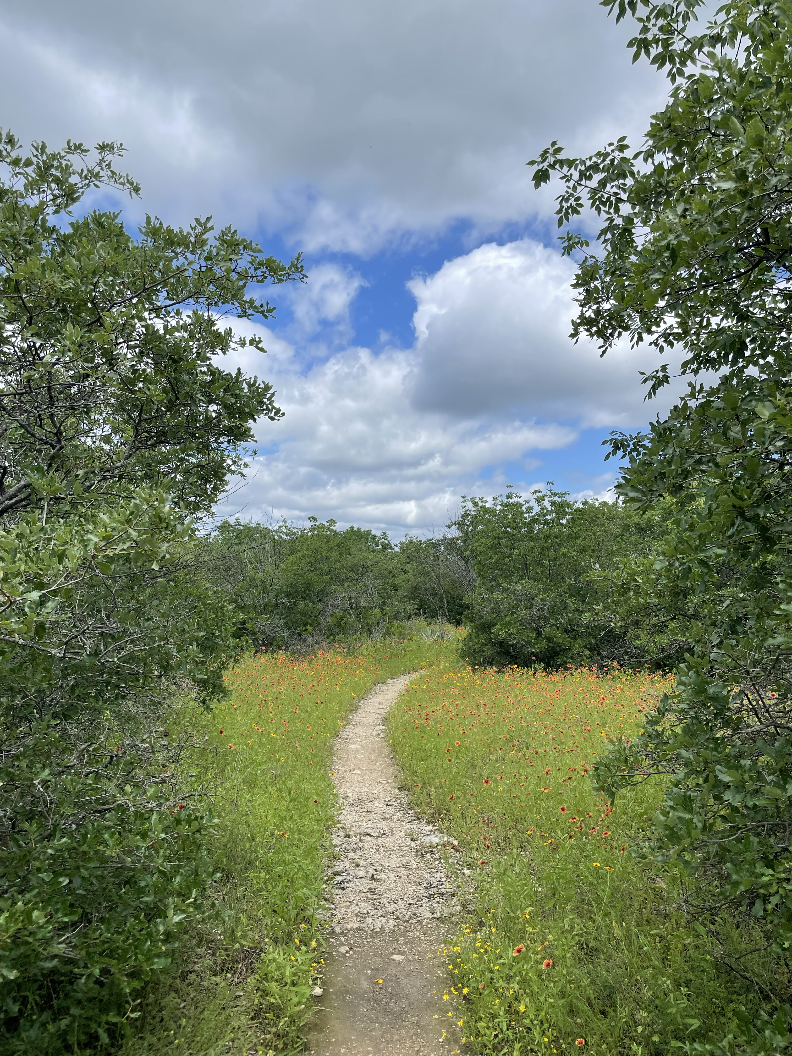 Fort Worth Nature Center & Refuge Hiking Trail in Fort Worth, TX. Photo by Alice Nalepka.