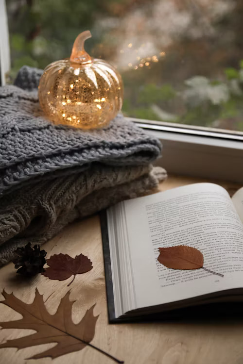 book and a throw near window fall vibe