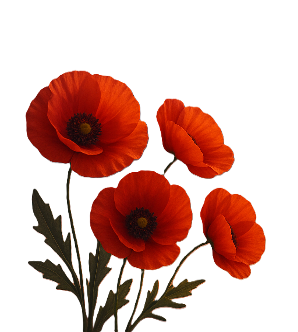 poppyLeft