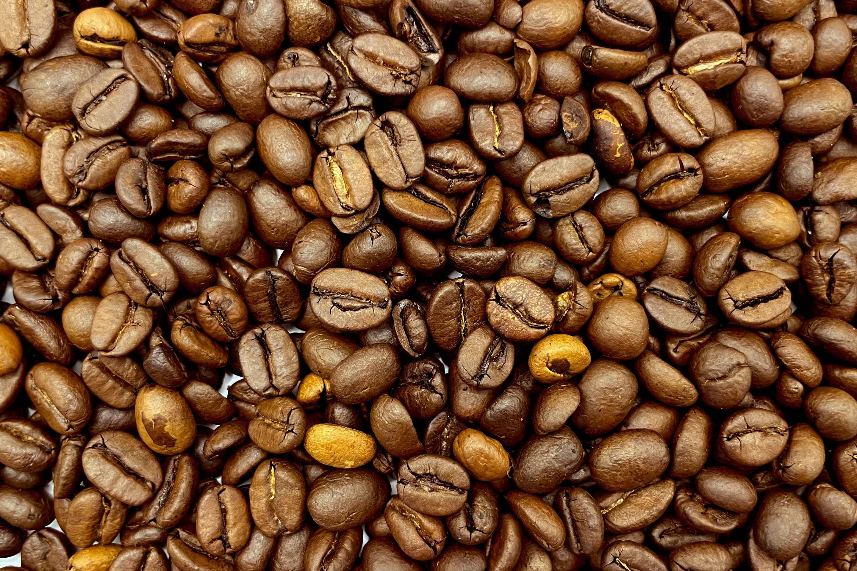 coffee beans
