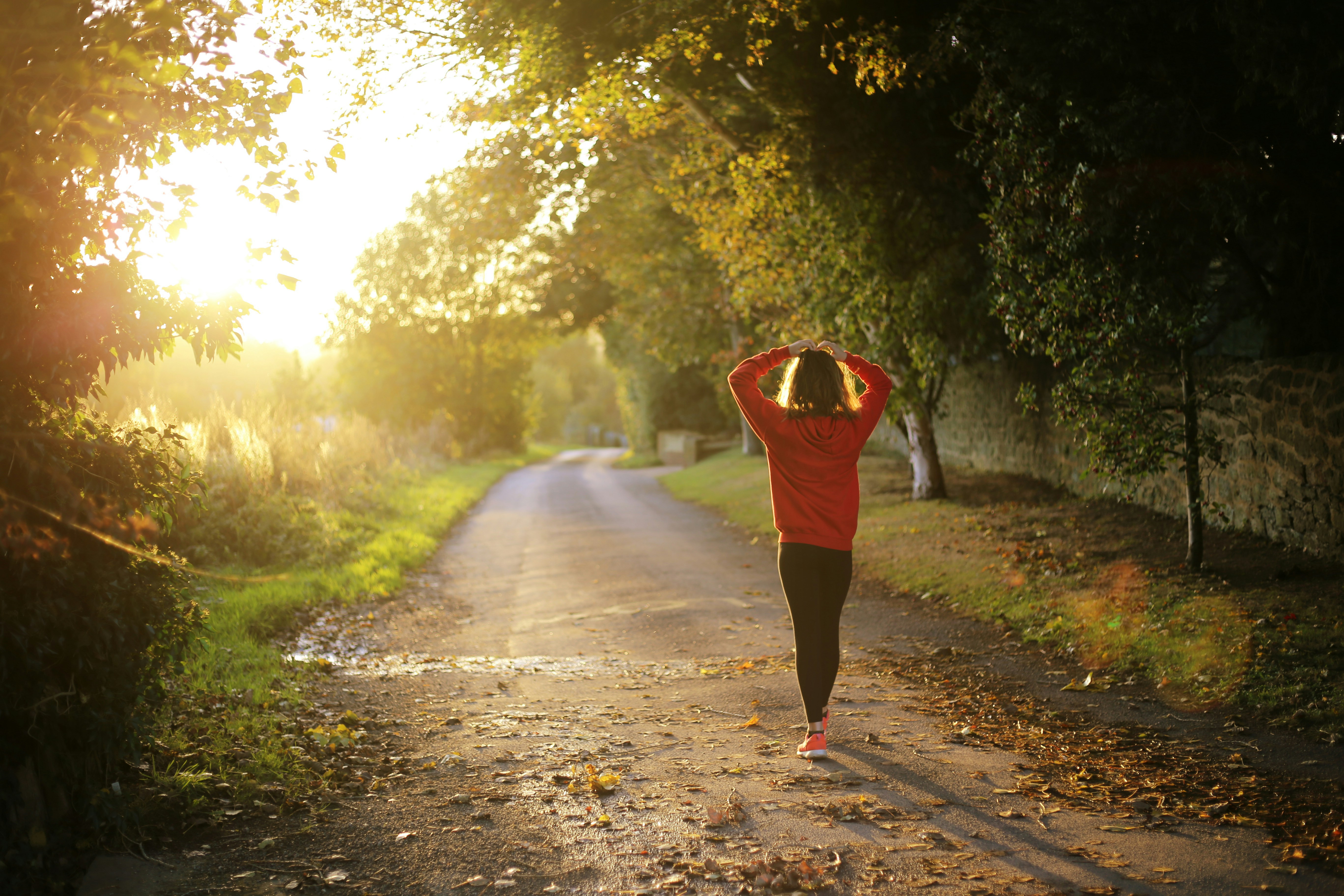 Person walking in the park at sunrise