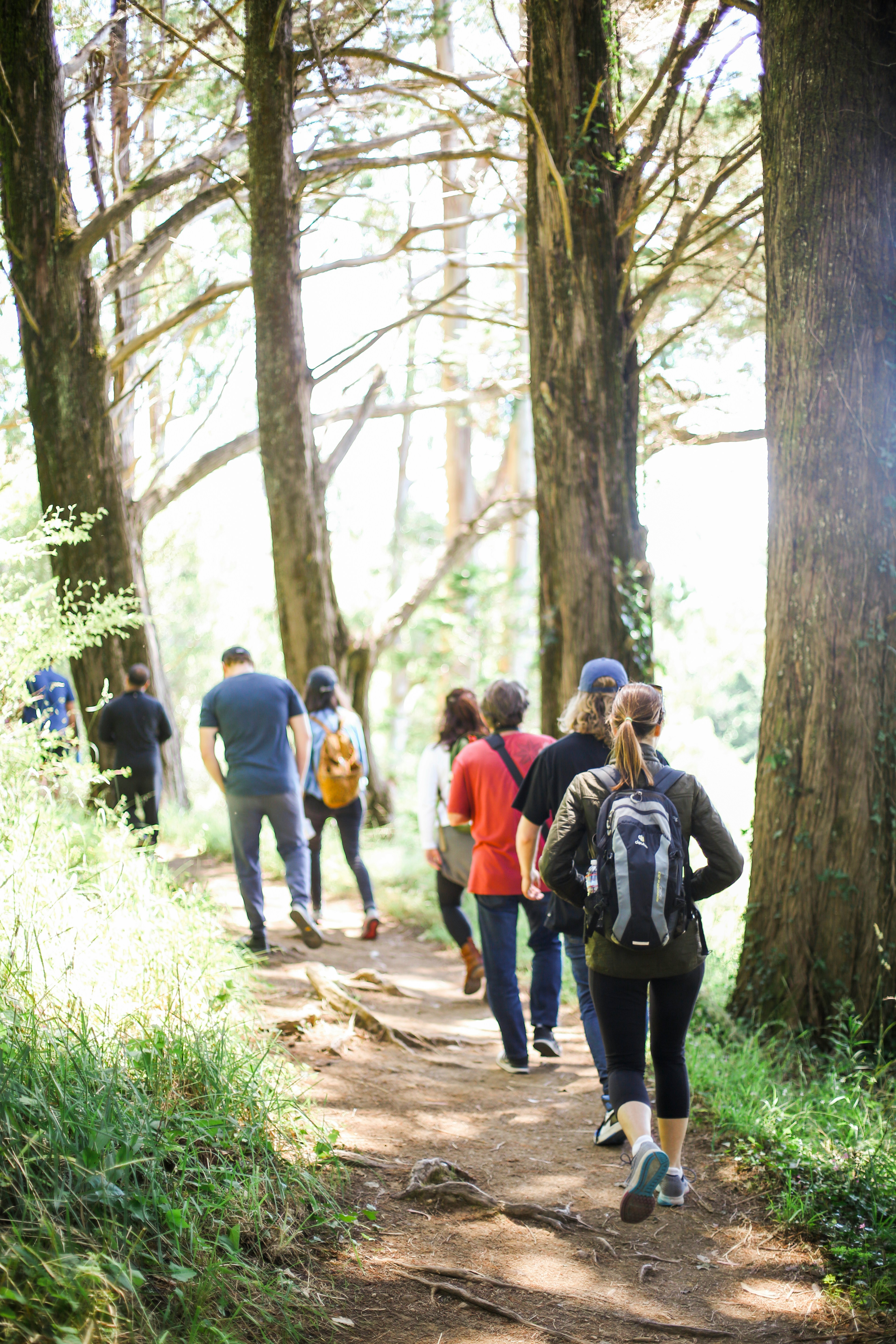 Group of people walking in the woods