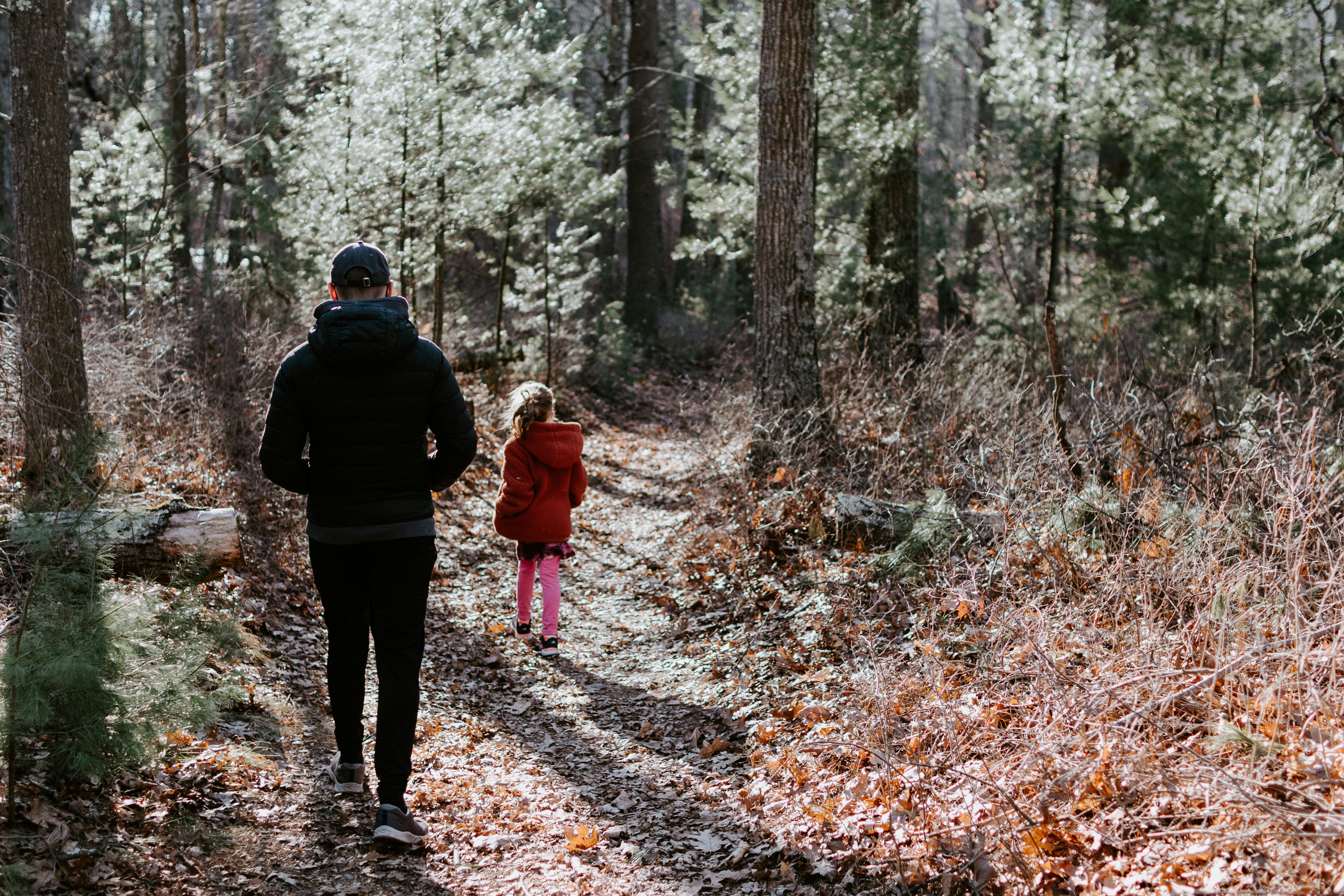 Father and daughter walking in the forest