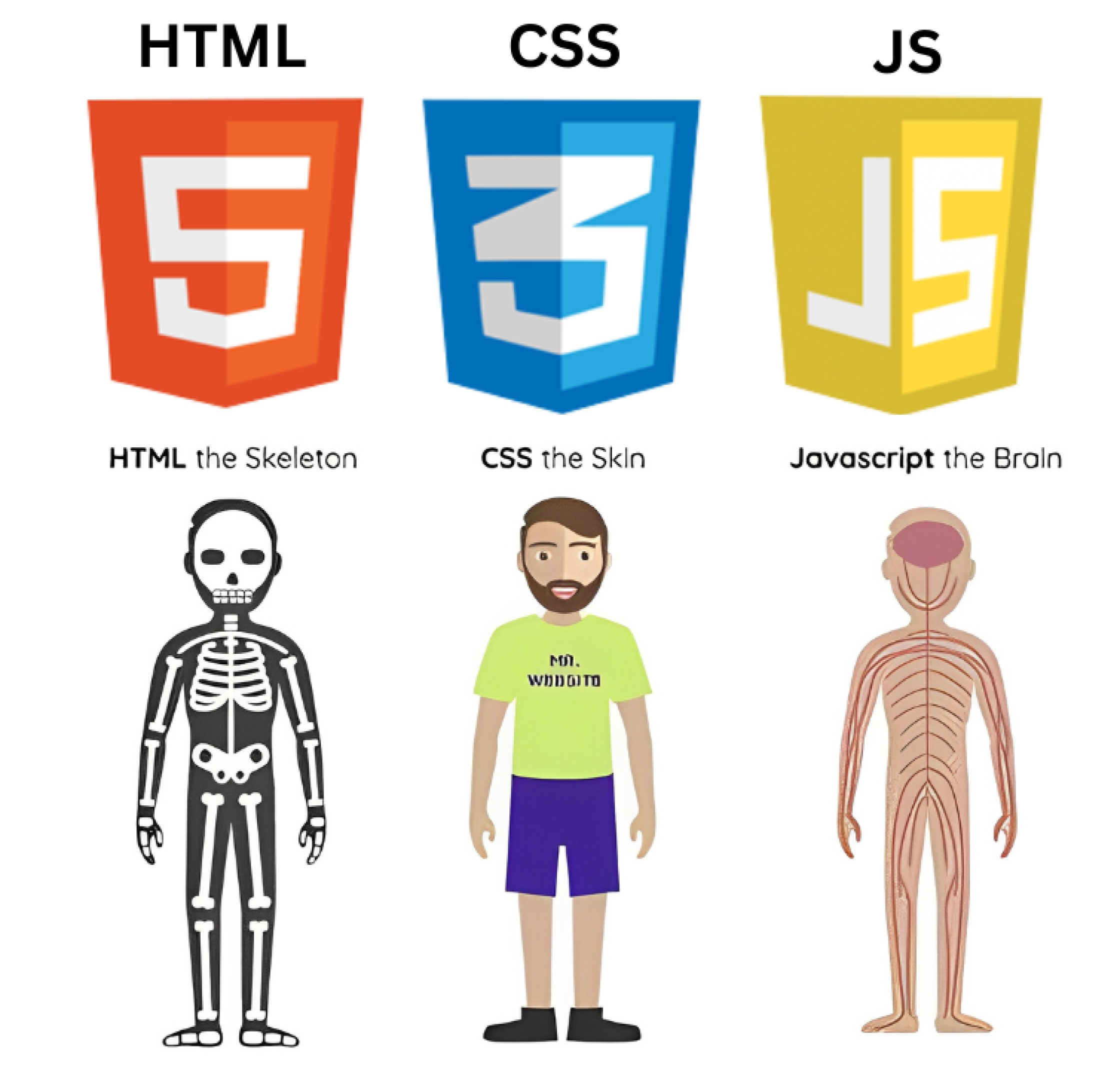 Web Development