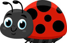 Ladybug Icon