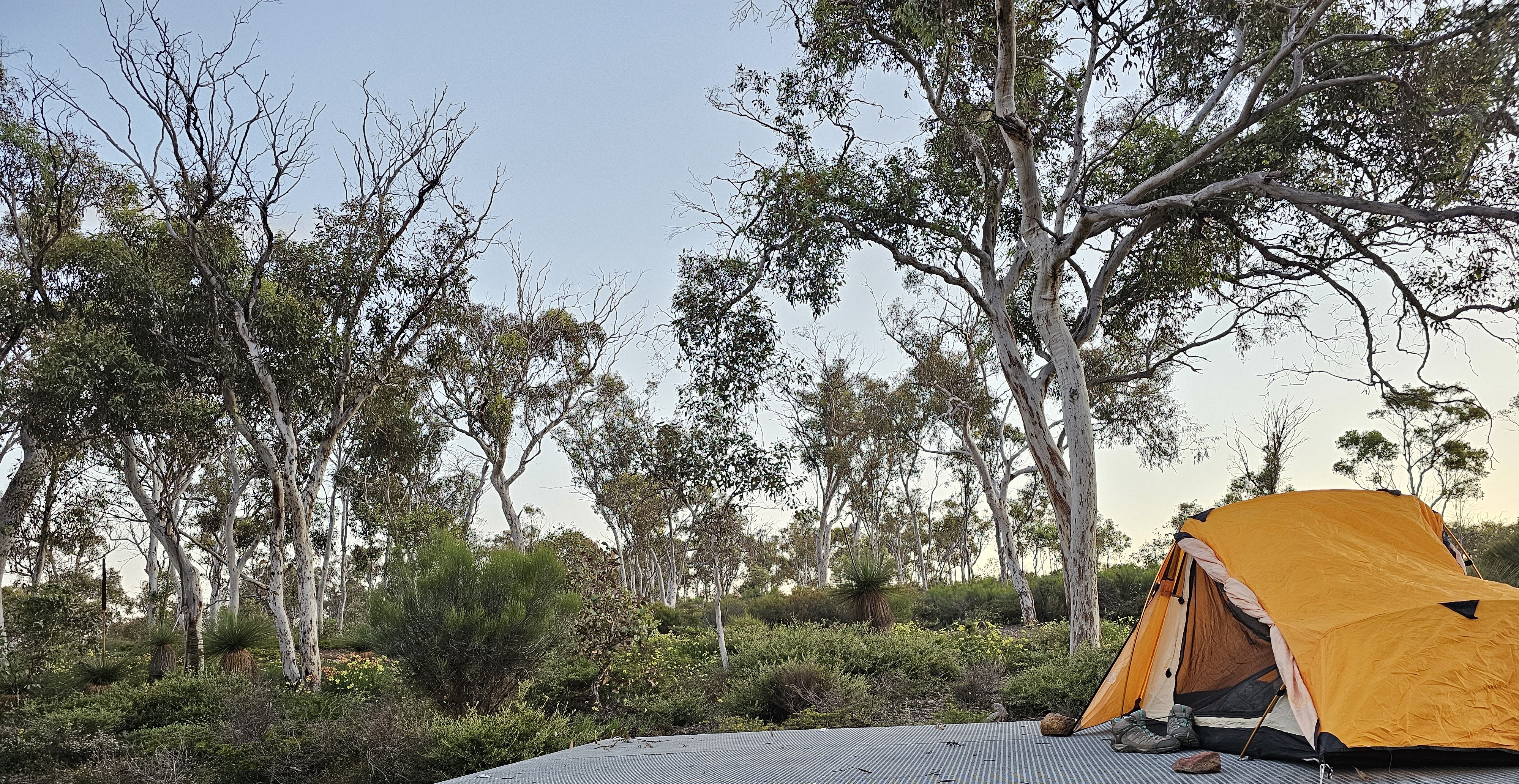 tent in front of landscape