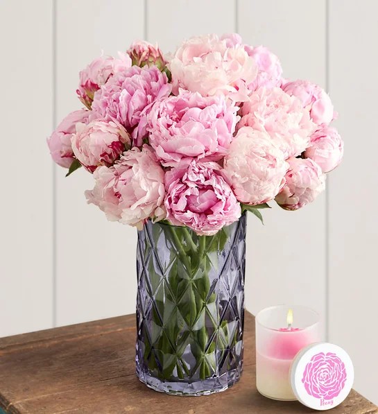  Peony Flowers
