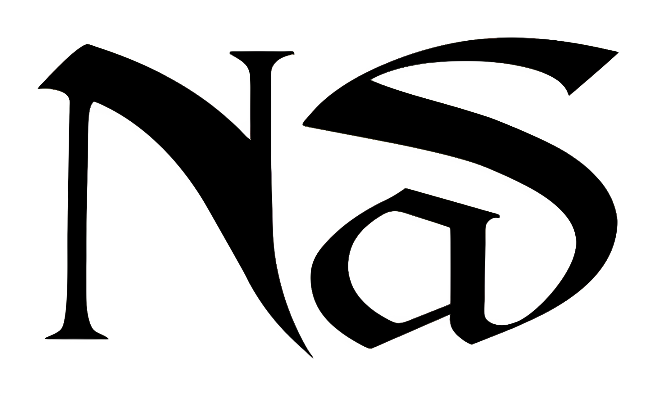 Nas Logo