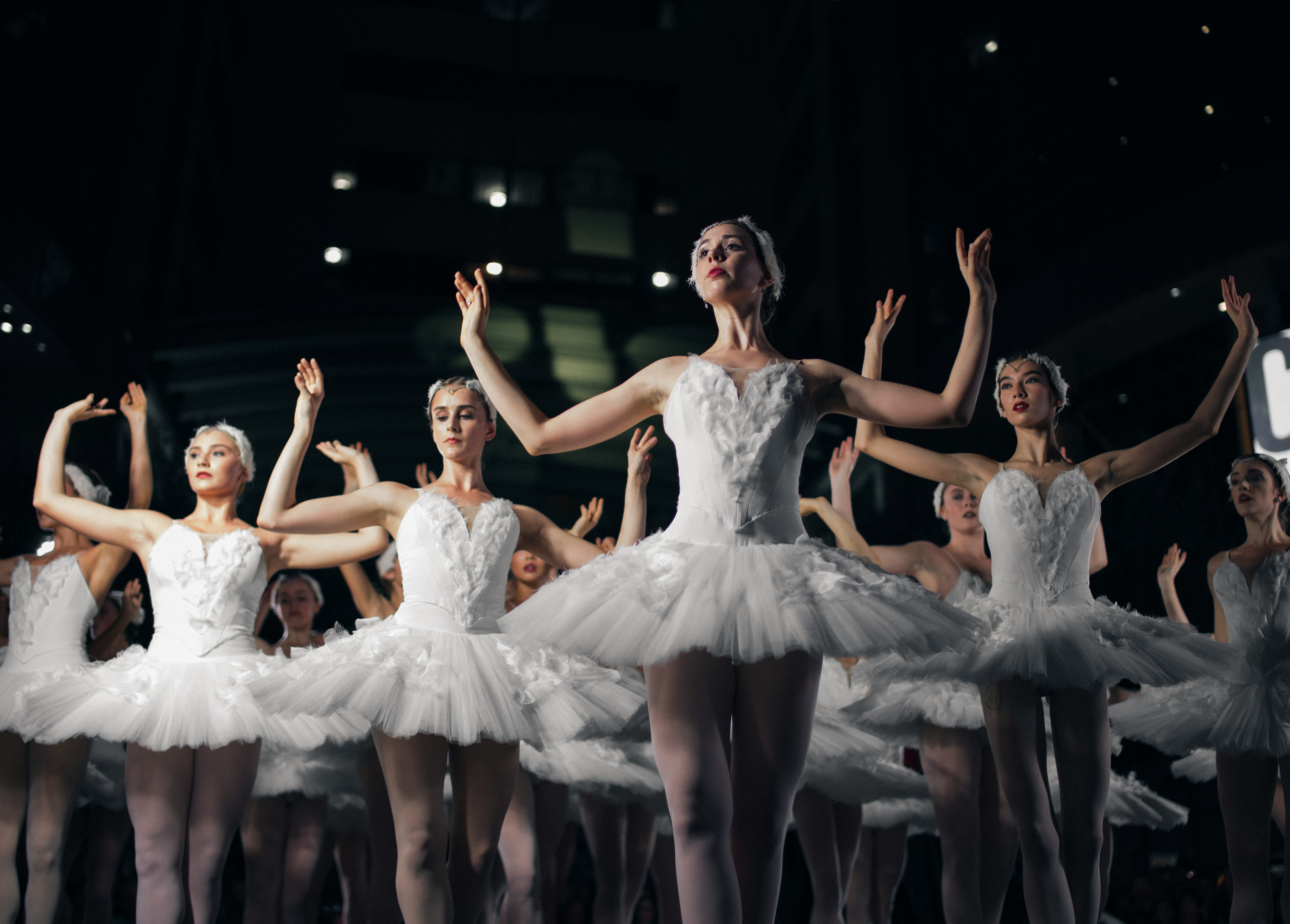 swan lake ballerinas