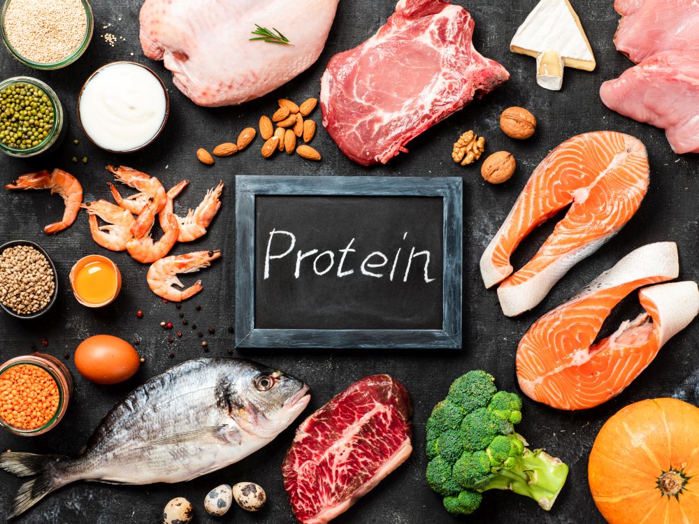 different protein sources