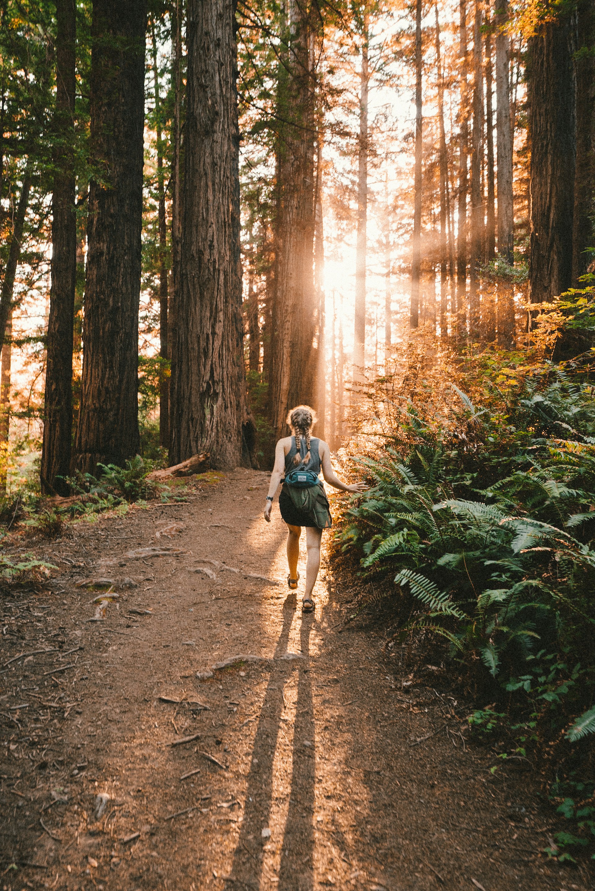GirlForest2