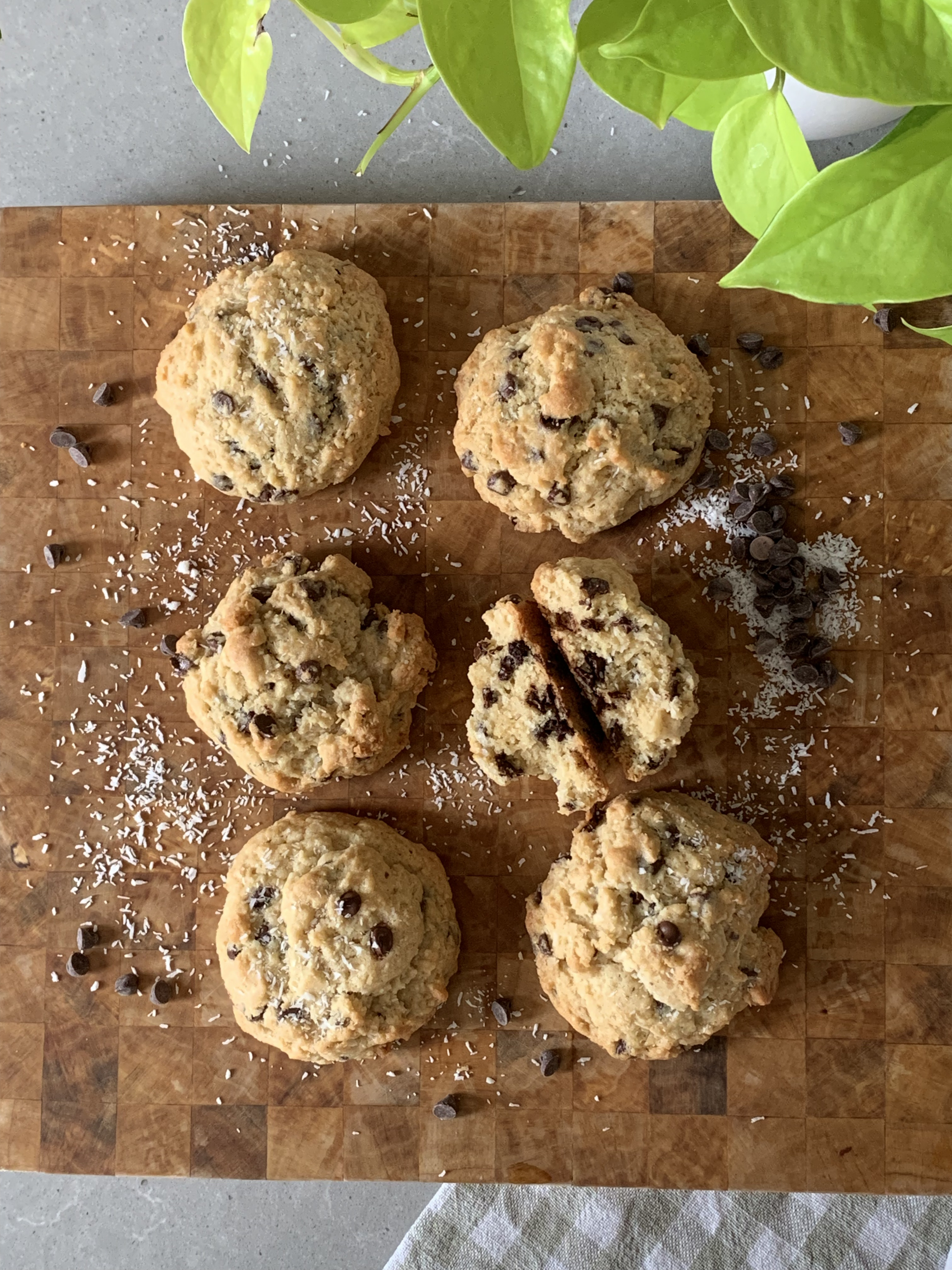 coconut chocolate cookies