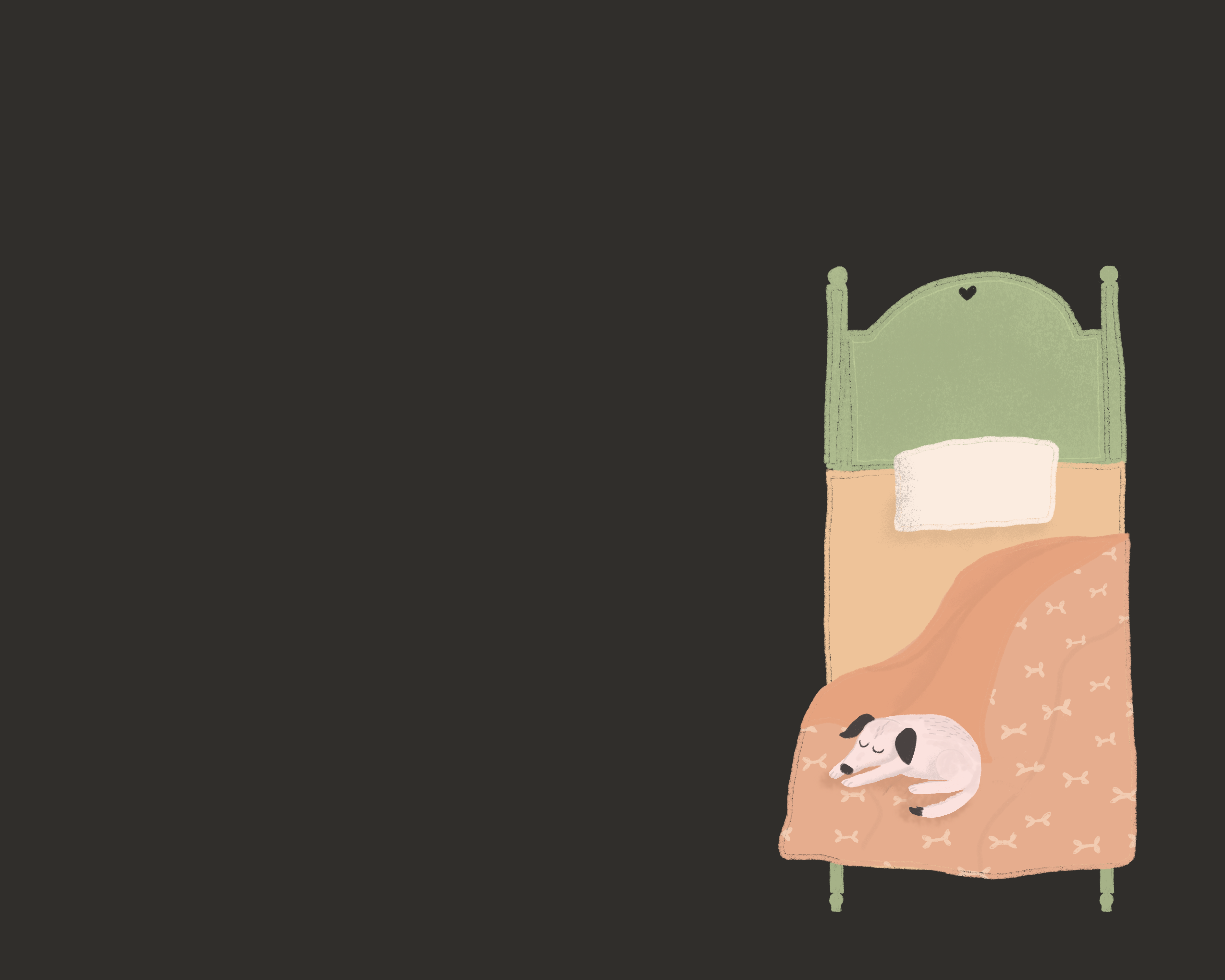 A white dog with black ears sleeping on a human bed