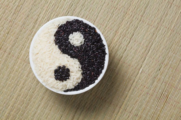 Yin and Yang concept with seasonal food