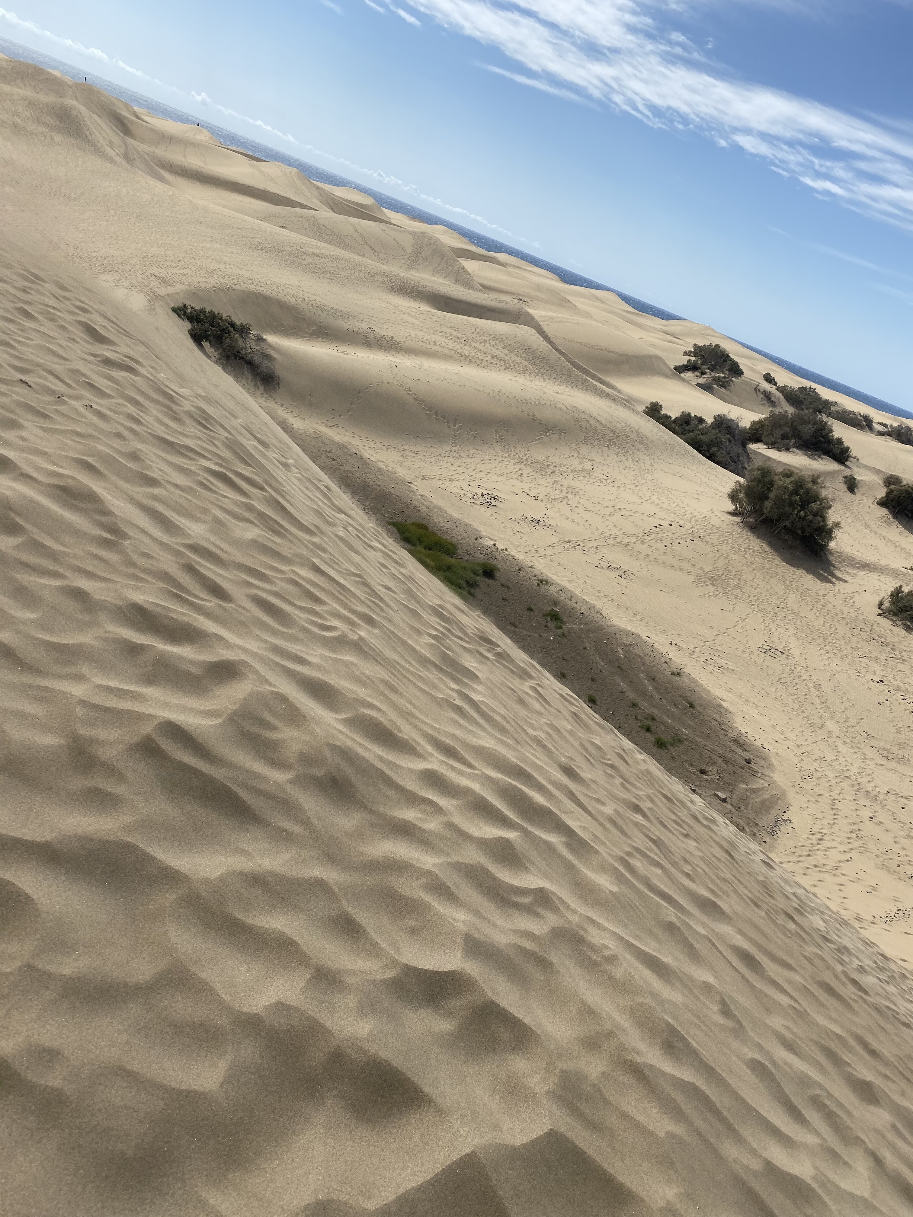 Sand Dunes
