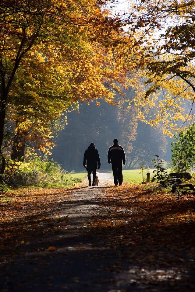 two people and dog walking