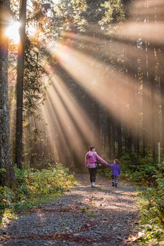woman alone in the woods