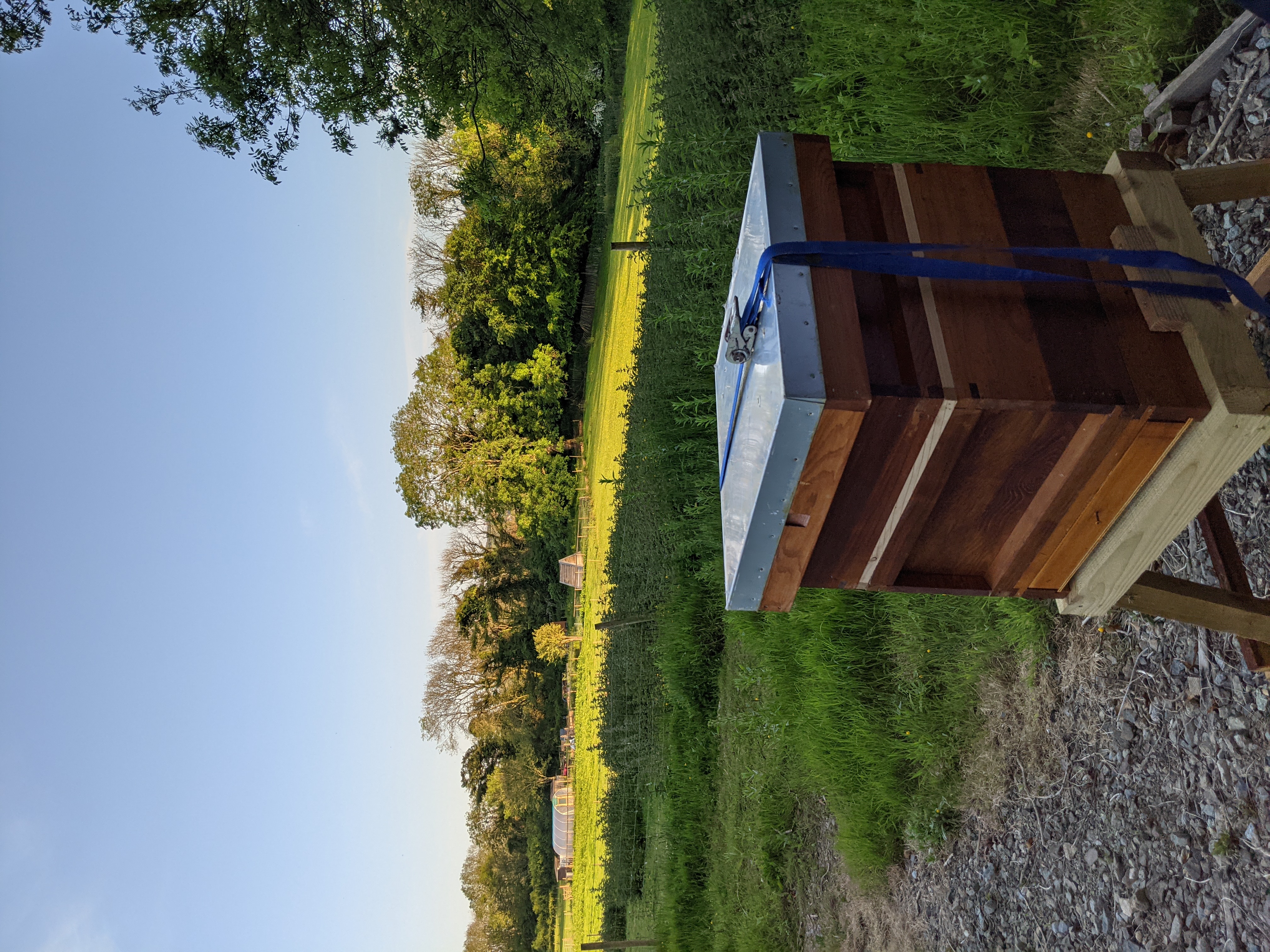 Bee Keeping