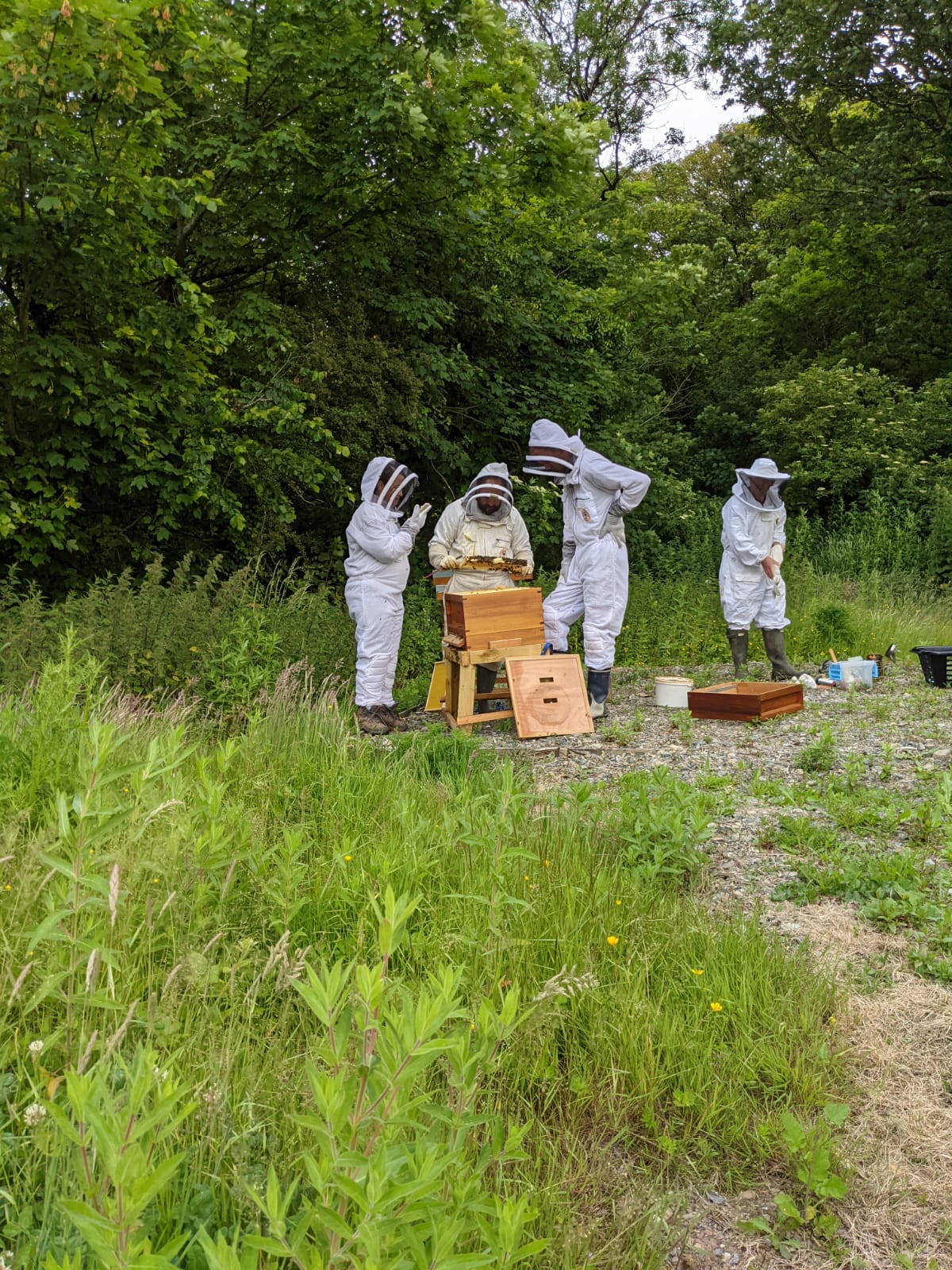 Bee Keeping