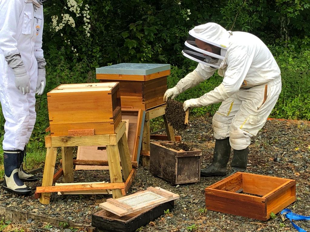 Bee Keeping
