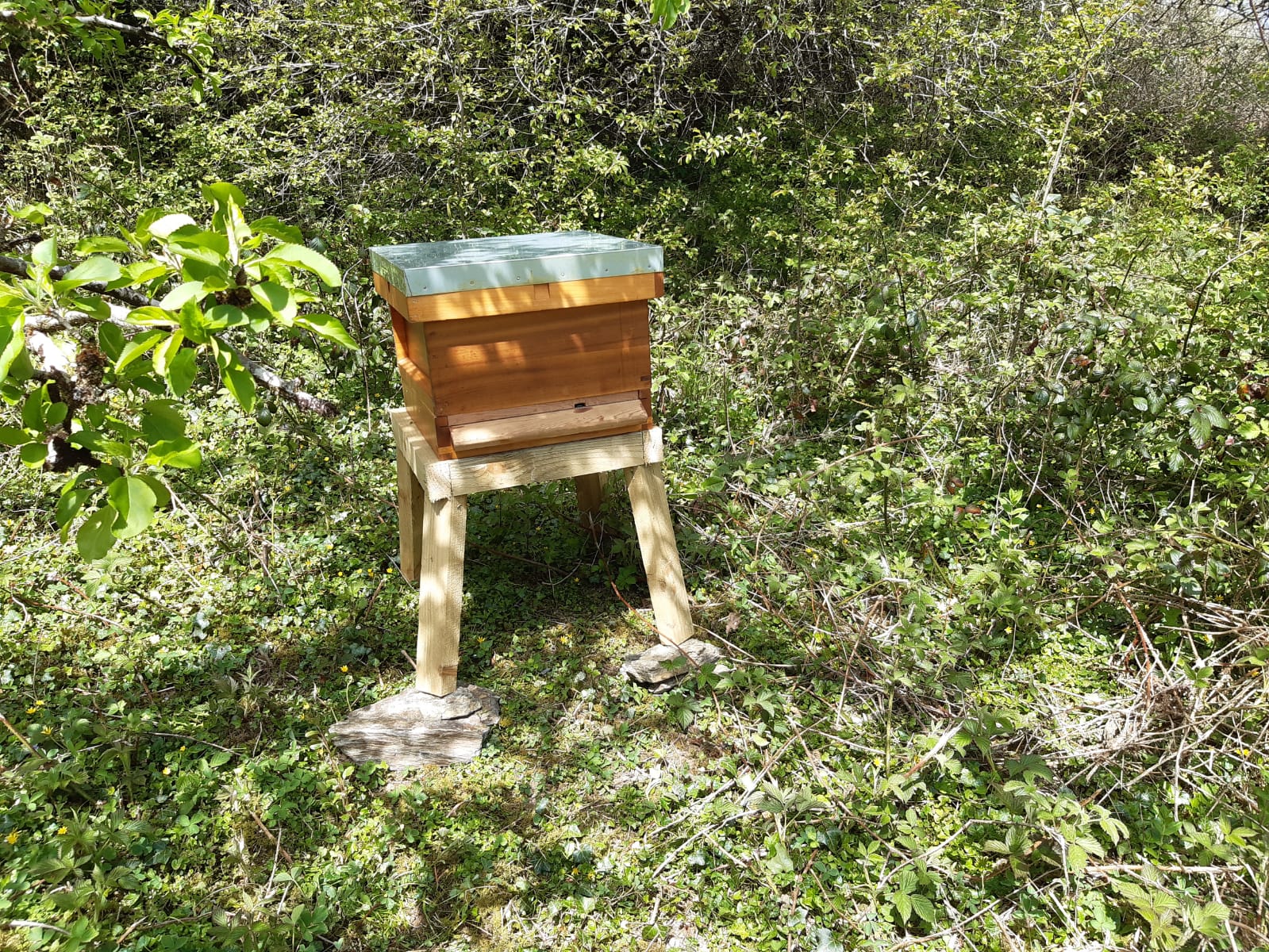 Bee Keeping