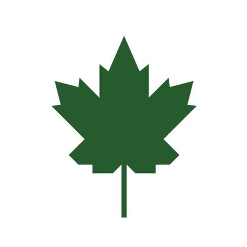 Shady Maple Structures ltd logo