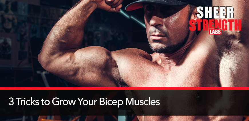 3-Tricks-to-Grow-Your-Bicep-Muscles