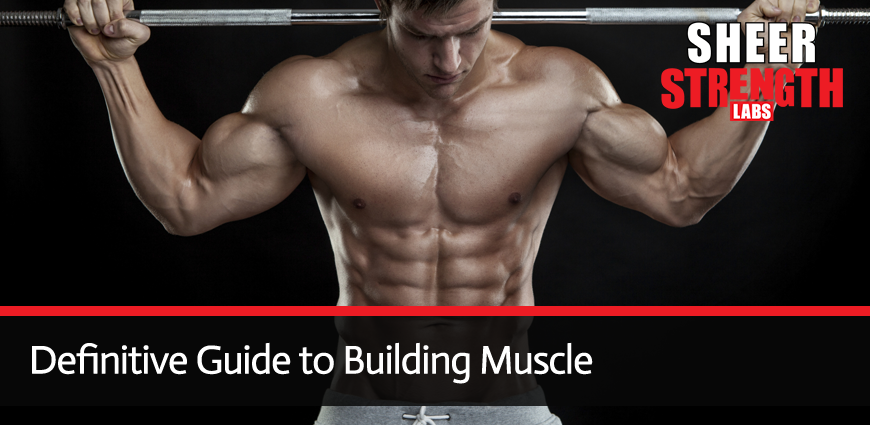Definitive Guide to Building Muscle