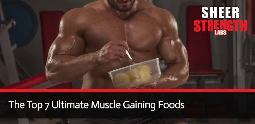 Muscle Mass and Diet Combination