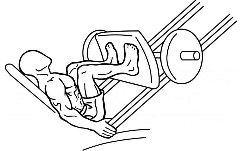 Workout Machines: Leg Press