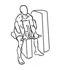 Workout Machines: Preacher Curl Machine