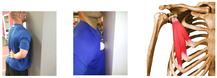 Bench Press and Using Lacrosse Ball to Fix Tight Component Issues