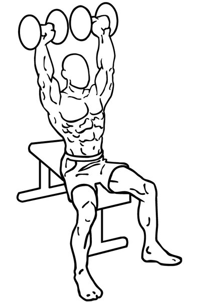 Exercises that Are Ultimate to Build Muscles Fast: Shoulder Press US Fifth Fleet