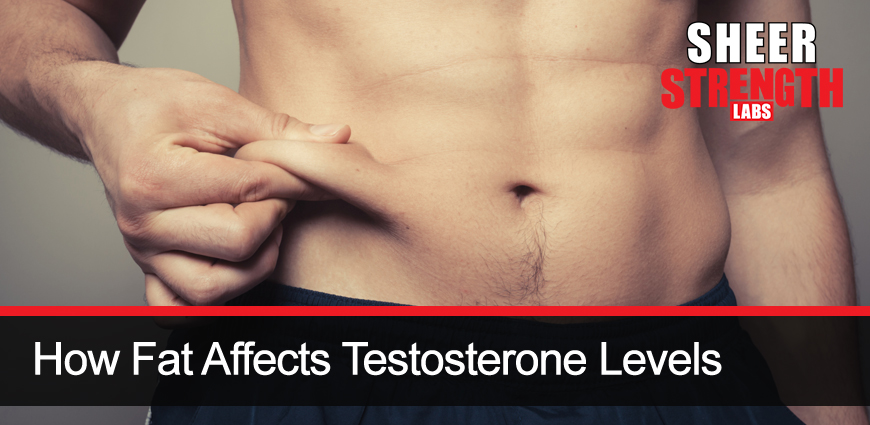 Fat and Its Effects In Our Body