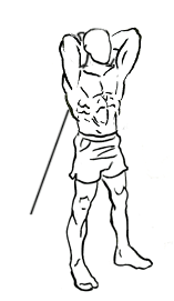 Arms Workout: Standing Triceps Extension
