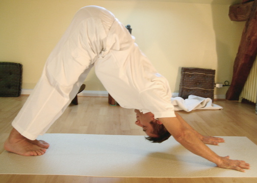Six Pack Abs Exercises: Plank Pike Without Exercise Ball