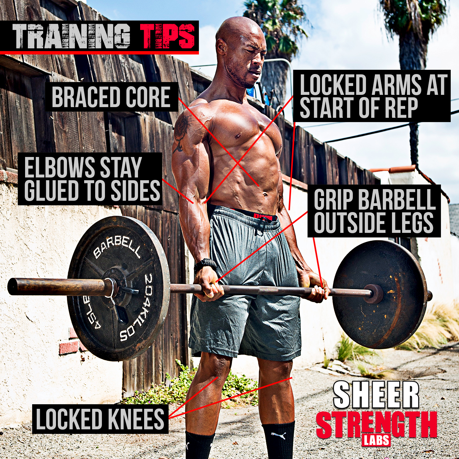Training Tips: How to Bicep Curl