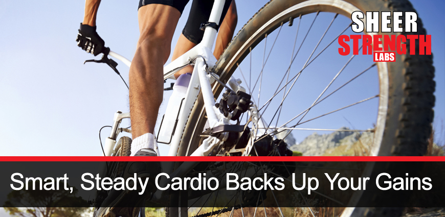 Cardio and Steady Heart Rate by Cycling