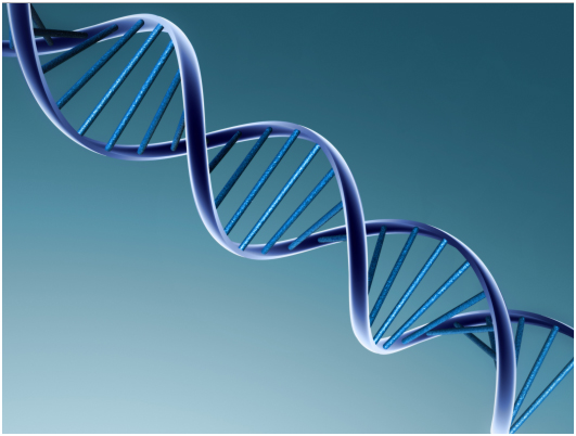 Steroids, Genetics and Amino Acid Therapy