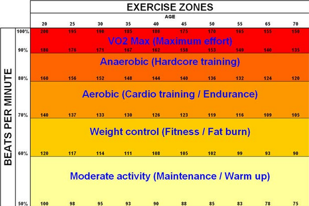 Cardio and Best Optimum Zone