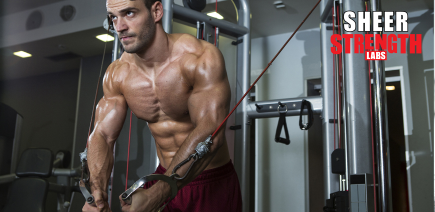 Chest Training Tips and Techniques