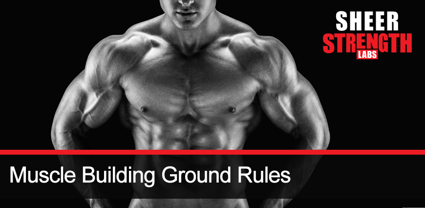 Muscle Building Tips to Get the Body You Want