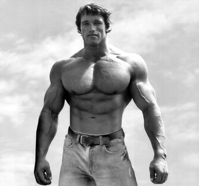 Chest Training: Chest-Building Exercises