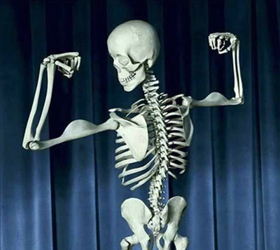 Creatine: Avoid Osteoporosis and Improve Bone Health