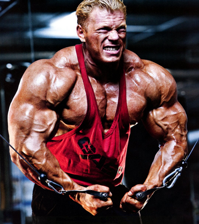 Muscle Building Tips and Training Techniques