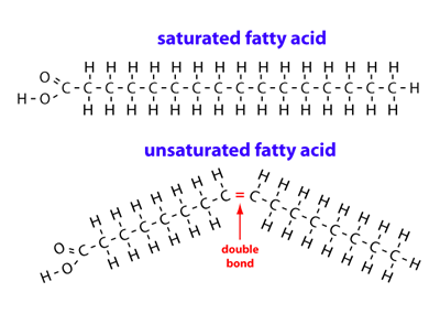 Coconut Oil: Fats Chemical Structure - Fatty Acids and Triacylglycerols