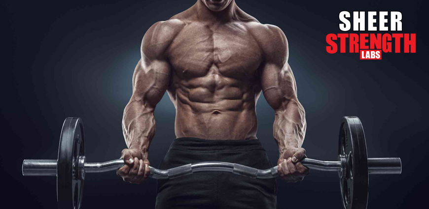 odybuilding Technique: Using Stretching for Muscle Growth
