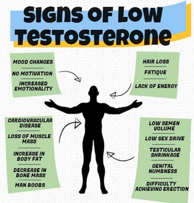 Alcohol Effects on Your Body: Increase Testosterone