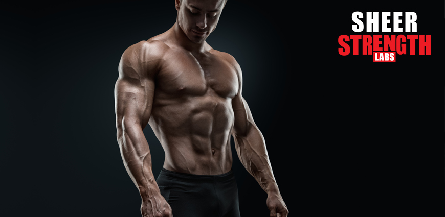 Massive Gains Training Exercises